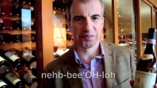 Nebbiolo as Spoken by Aldo Vacca [upl. by Ahsinek]