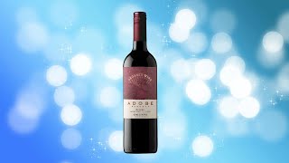 Review of Emiliana Organic Malbec wine from Chile [upl. by Adin635]