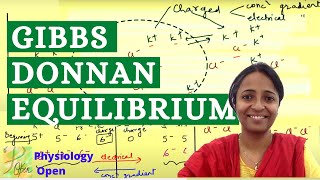 Gibbs Donnan Equilibrium  General Physiology mbbs 1st year lecture [upl. by Kcirredal]