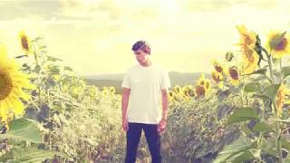 MARK DANN  SUNFLOWERS feat Lucius Szikora Official audio [upl. by Coyle763]