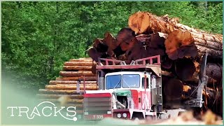 TIMBER Real Lumberjacks Of Canada [upl. by Guss141]