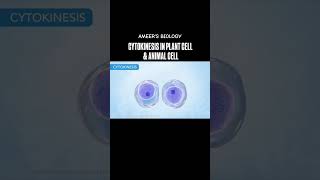 Cytokinesis in plant cell and animal cells [upl. by Kenji676]