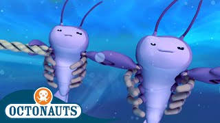 Octonauts  Undersea Storm and The Whale Shark  Cartoons for Kids  Underwater Sea Education [upl. by Sommer]