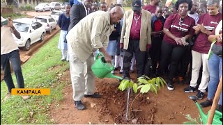 Environmental conservation  Grant Thornton launches nationwide tree planting campaign [upl. by Ahscrop]