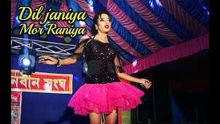 Dil Janiya Mor Raniya  dj video song  dance program [upl. by Hobbie]