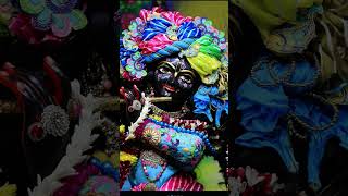 Chalo brindavan radhakrishna love harekrishna brindaban [upl. by Anahpets]