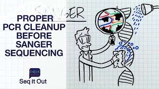 Proper PCR Cleanup before Sanger Sequencing  Seq It Out 12 [upl. by Cassondra]