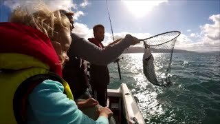 Harbour Fishing  Kahawai Catch amp Smoke 2016 [upl. by Annej]