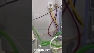 Neonatology  Nicu [upl. by Taimi]