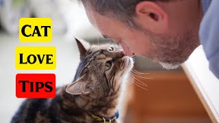 How To Make Your Cat Love You More 🐈 [upl. by Kavanagh]