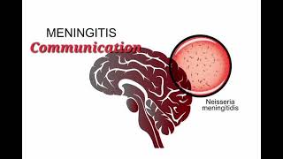 Meningitis mrcpch Communication [upl. by Jilly]