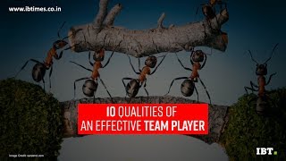 10 qualities of an effective team player [upl. by Ecinue]