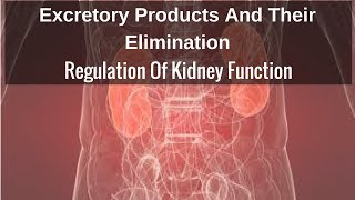 Regulation Of Kidney Function [upl. by Odlanyar]