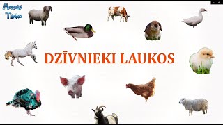 Dzīvnieki Laukos Mācāmies Latviešu valodā Zvēri [upl. by Gereron593]