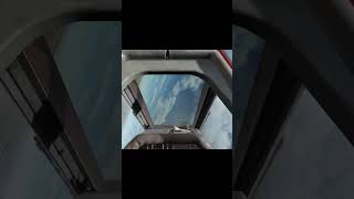 Mutually assured destruction dcsworld dcs flightsimulator gaming dogfight fail [upl. by Yngad]