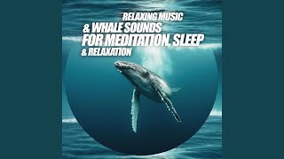 Relaxing Music amp Whale Sounds for Meditation Sleep amp Relaxation [upl. by Mian713]