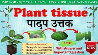 Plant tissue पादप ऊतक। plant cell। Type of plant tissue । For SSC CGL  class 9 in hindi [upl. by Sitoiyanap]