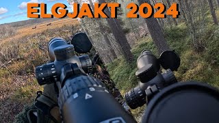 ELGJAKT MED HUND HØSTEN 2024  GOPRO [upl. by Flor]