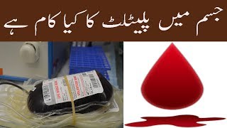 Function Of Platelets And Count Range In Blood In Urdu Khoon Ma Platelets Ki Kami Se Kya Hota Hai [upl. by Bently]