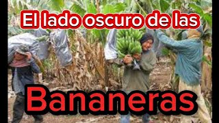 Breve historia de las Bananeras en Honduras [upl. by Duahsar]