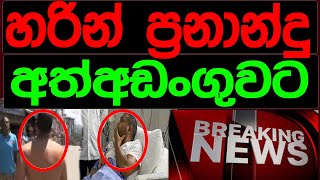 හරින් ප්‍රනාන්දු අත්අඩංගුවටBREAKING NEWS [upl. by Noved]