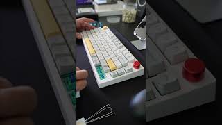 Epomaker Bluebird Switches EpoMaker mechanicalkeyboard keyboardswitches [upl. by Siro]