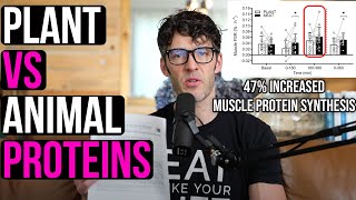 Best Protein for Muscle Growth 47 Higher Protein Synthesis After Omnivore VS Vegan Meal [upl. by Neri]