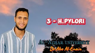 3  Hpylori  Infection course  AlAzhar University [upl. by Ardnasyl32]