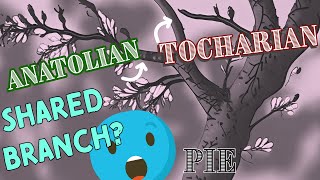 Tocharian and Anatolian – Do They Form Their Own Branch on the IndoEuropean Tree 🔍 [upl. by Aurelia]