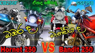 Honda Hornet 250 CB 250F vs Suzuki Bandit 250 GSF250 compare video in Sinhala Sri Lanka [upl. by Shandra]