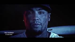 Chicago Cubs 2019 Take the Field Video [upl. by Kilan]