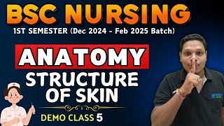 STRUCTURE OF SKIN  anatomy bsc nursing  bsc nursing 1st sem  anatomy BSC NURSING  BSC NURSING [upl. by Bondon]