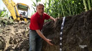 Root Pit Soil Profile Examination [upl. by Hyps751]