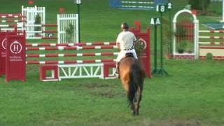 ♥ Pims de Villers jumping horse by Dauphin de Fligny [upl. by Krishna]