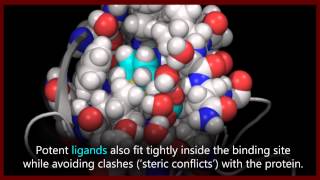 A basic introduction to drugs drug targets and molecular interactions [upl. by Inait779]