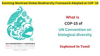 What Is COP15 of United Nations Convention On Biological Diversity UPSCTNPSC [upl. by Neelahtak363]