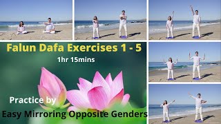 Falun Dafa Falun Gong Exercises 15 Practice by Easy Mirroring Opposite Genders 1h15mins [upl. by Roinuj]