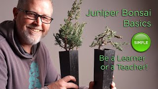 Bonsaify  Juniper Bonsai Basics Succeeding as a Student or a Teacher [upl. by Vivie2]