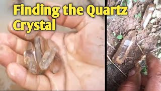 Searching Quartz Crystals  how to find Quartz Crystals  Quartz Crystals In Clay [upl. by Yirinec]