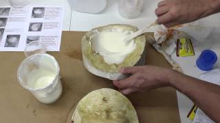 Michael Davy Foaming Gelatin How To [upl. by Annerahs]