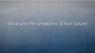 Liver Failure  FAQ with Dr Amy Kim [upl. by Ahsitneuq]