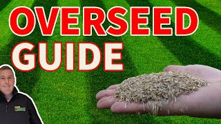 Beginners guide to overseeding a lawn and everything you need to get it RIGHT [upl. by Hyde685]