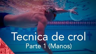 Como nadar crol correctamente Parte 1 Técnica Manos Estilo libre natación [upl. by Eceinej]