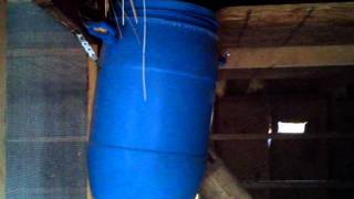 Gravity fed chicken poultry feeder Simple diy [upl. by Anaicul509]