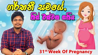 Pregnancy 31st Week  Sinhala Medical Review  අම්මයි බබයි [upl. by Harmony]