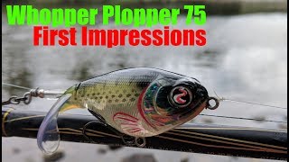 The Whopper Plopper  A Video a Year in the Making [upl. by Yriek]