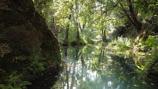 Rencontre avec des Esprits de la Nature [upl. by Ahsimat]