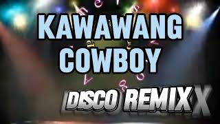 Kawawang Cowboy Disco Remix [upl. by Tomkin941]