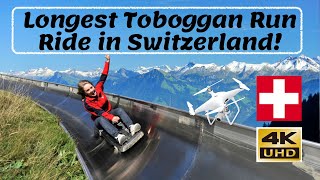 Longest Summer Toboggan Ride in Switzerland  4K Video [upl. by Philps]