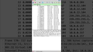 Wireshark  IP Address Filter [upl. by Allesiram]